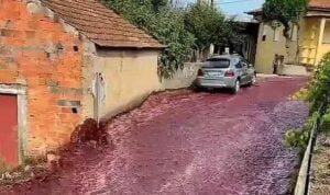 Portugal Red wine Viral Video