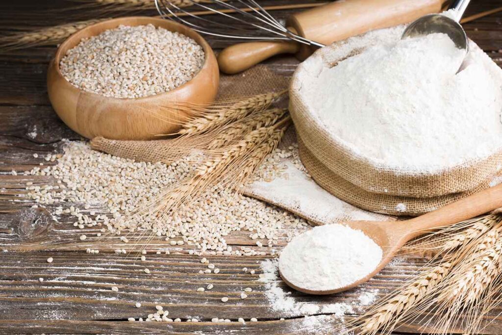Barley Flour)