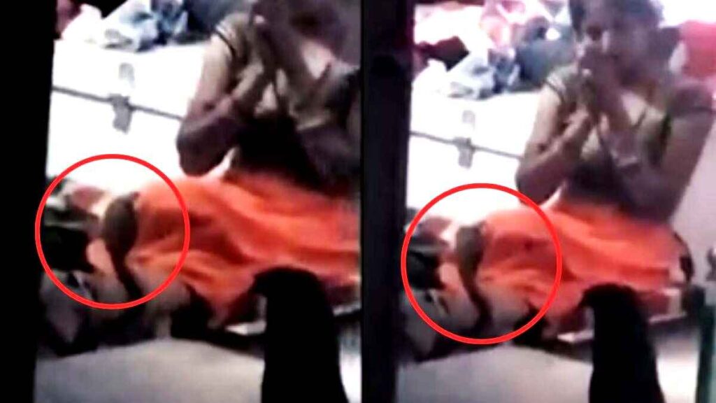 King cobra wrapped around woman's leg
