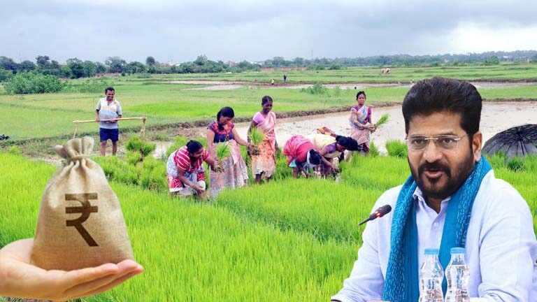 Crop Loan | మూడు విడతలుగా రైతు రుణమాఫీ.. నేడే రైతుల ఖాతాల్లో నగదు..