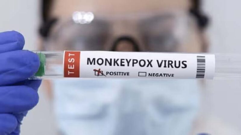 Monkey pox : భారత్‌లో తొలి మంకీ పాక్స్‌ కేసు నమోదు.. అప్రమత్తమైన కేంద్రం..